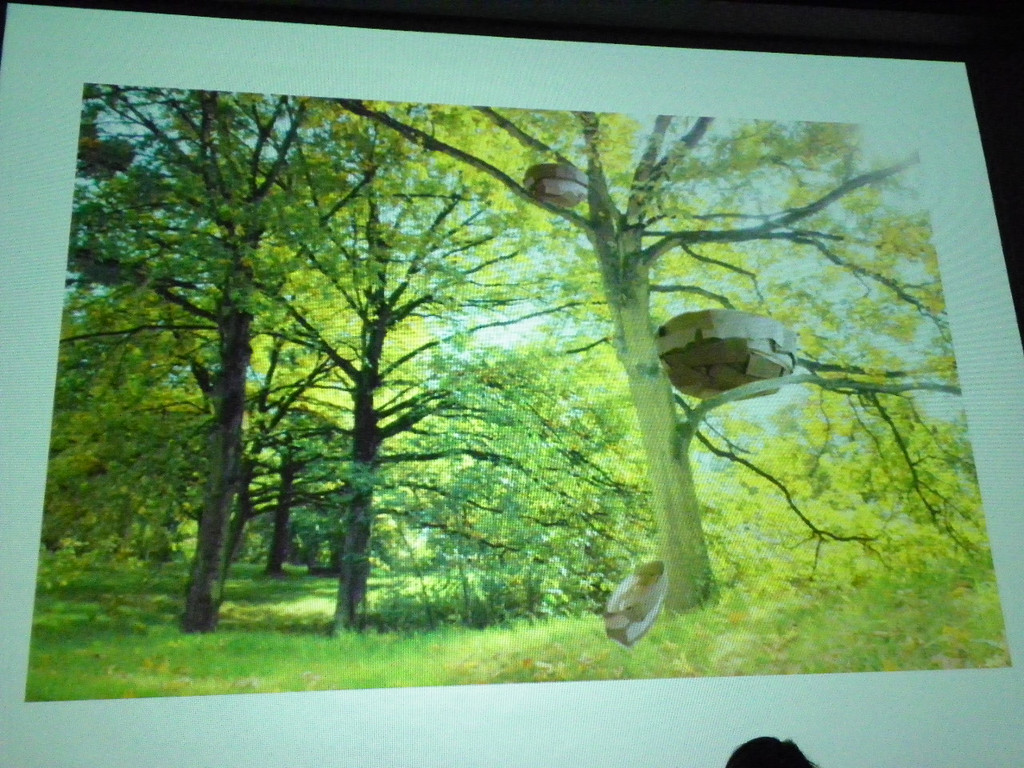 110_3589_JPG-1304806881