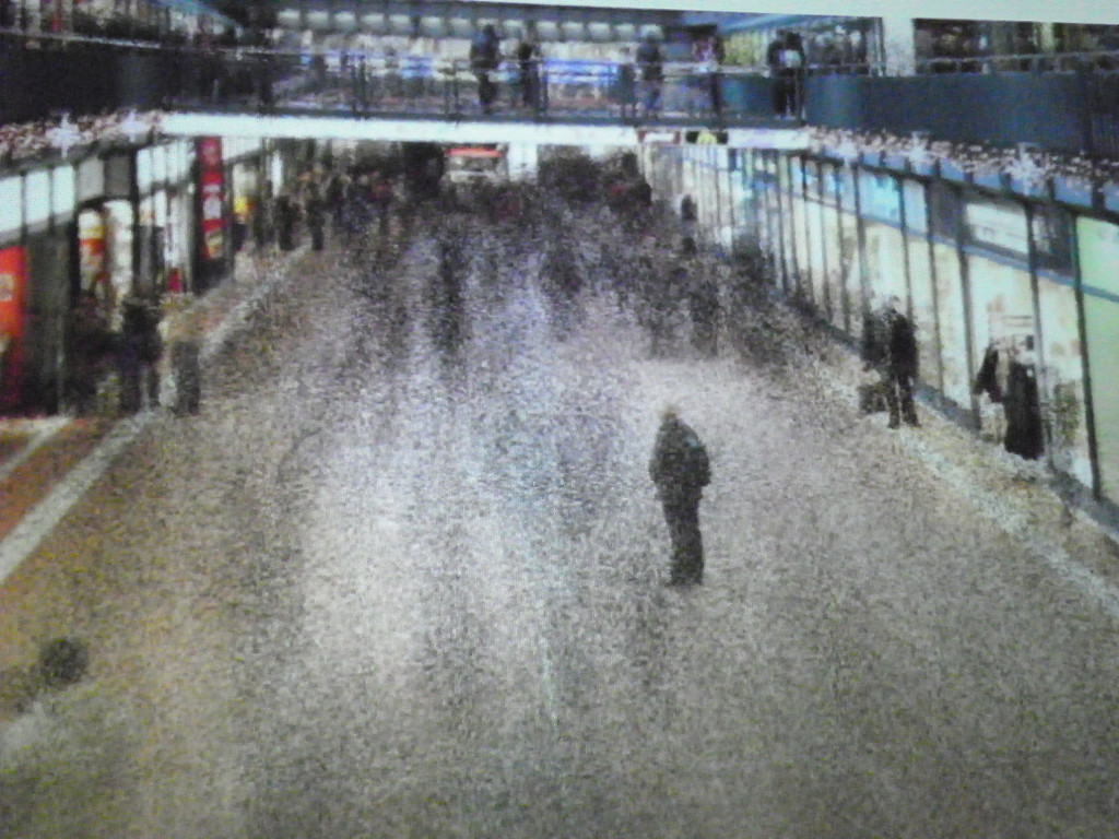 110_3591_JPG-1304806889