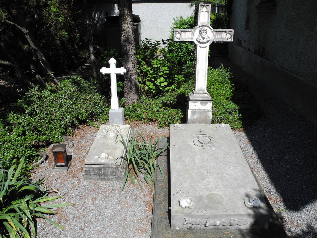 Baum 1000_jpg-1304838338