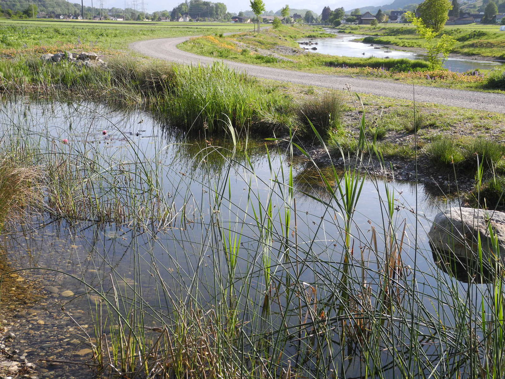 DSCN6180_JPG-1304839702