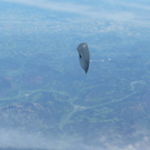 Sensationelle Bilder des Ballons