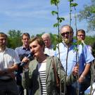 Bild 868_jpg-1304844030