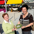 Gartenmarkt064.JPG