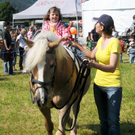 Haflinger-Landesausstellung in Höchst