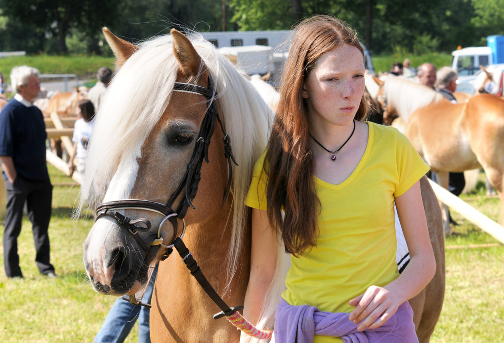 Haflinger H__chst 8_5_2011 58_jpg-1304880054