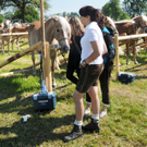 Haflinger H__chst 8_5_2011 27_jpg-1304879718