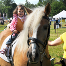 Haflinger H__chst 8_5_2011 67_jpg-1304880142