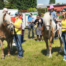Haflinger H__chst 8_5_2011 75_jpg-1304880222