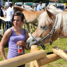 Haflinger H__chst 8_5_2011 80_jpg-1304880351