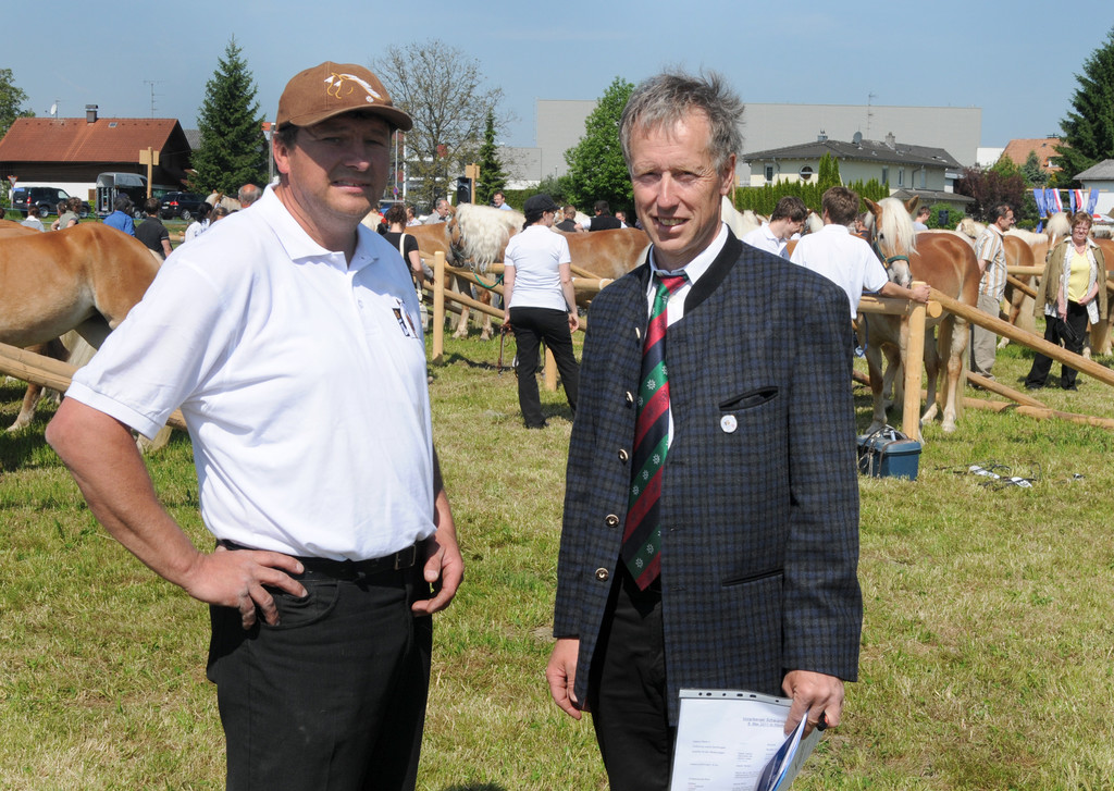 Haflinger H__chst 8_5_2011 82_jpg-1304880395