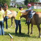 Haflinger H__chst 8_5_2011 95_jpg-1304880644