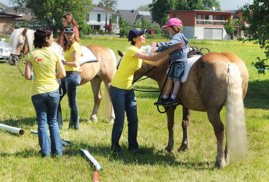 Haflinger H__chst 8_5_2011 95_jpg-1304880644