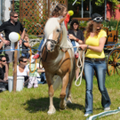Haflinger H__chst 8_5_2011 96_jpg-1304880706