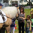 Haflinger H__chst 8_5_2011 102_jpg-1304880801