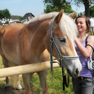 Haflinger H__chst 8_5_2011 121_jpg-1304881199