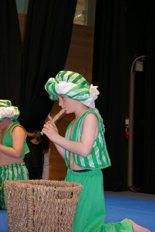 mini-bea_KG_VS_Satteins_7_5_11 143_jpg-1304881440
