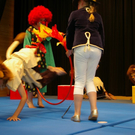mini-bea_KG_VS_Satteins_7_5_11 205_jpg-1304881610