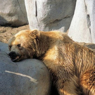 have-you-ever-been-this-tired14.jpg