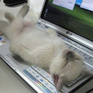 have-you-ever-been-this-tired21.jpg