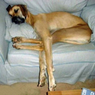 have-you-ever-been-this-tired22.jpg