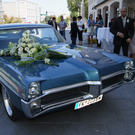 DSC08416.JPG