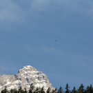 normal_08052011watzrlaktivnews_20_16_.jpg