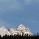 normal_08052011watzrlaktivnews_20_18_.jpg