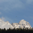 normal_08052011watzrlaktivnews_20_19_.jpg