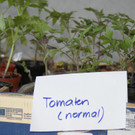 DSC00387_JPG-1304925779