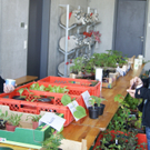 DSC00371_JPG-1304930680