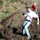 Weitere Bilder vom Waldeinsatz der AV-Jugend