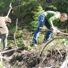AV-Wald2_jpg-1304935089