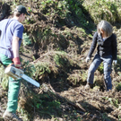 AV-Wald8_jpg-1304935231
