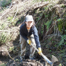 AV-Wald12_jpg-1304935288