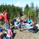 AV-Wald16_jpg-1304936131