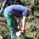 AV-Wald14_jpg-1304936195