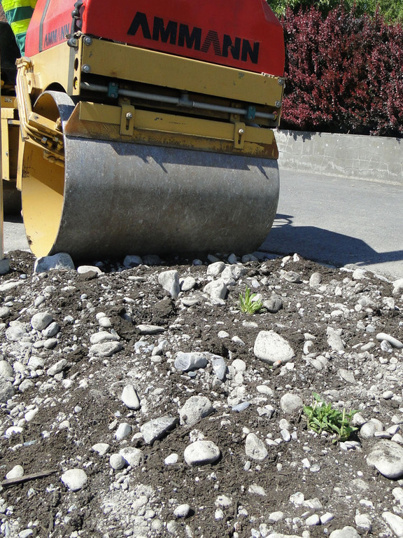 das grobschotterbeet wurde am ende gewalzt-wildpflanzen haltend das aus_jpg-1304945999