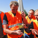 wildpflanzenkunde f__r die teilnehmer_jpg-1304946009