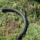 normal_09052011vuaufhamffaktivnews_49.jpg