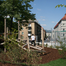 park-010.jpg