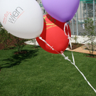 park-011.jpg