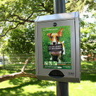 park-017.jpg