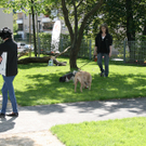 park-018.jpg