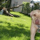 park-019.jpg