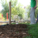 park-029.jpg