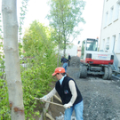 Garten6_jpg-1304949601