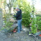 Garten5_jpg-1304949641