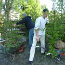 Garten4_jpg-1304949685