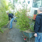 Garten8_jpg-1304949704