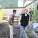 Garten13_jpg-1304949792